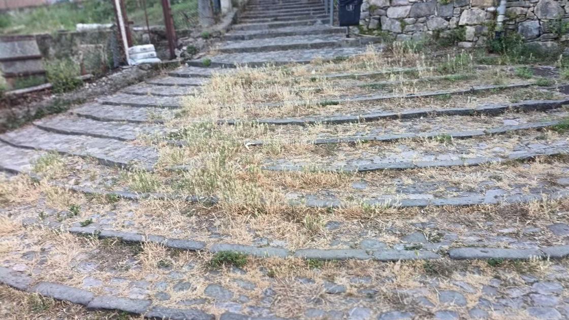 "Pericoli a Fabiano Alto. Muro a rischio crollo e arenaria sconnessa" "Pericoli a Fabiano Alto. Muro a rischio crollo e arenaria sconnessa"