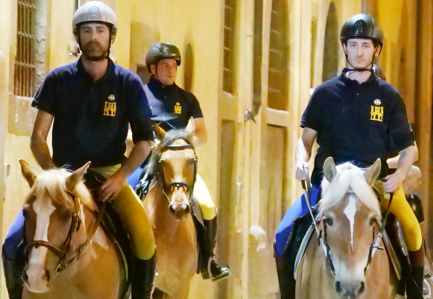 cherici legge le carriere colomba e chimera le coppie da battere