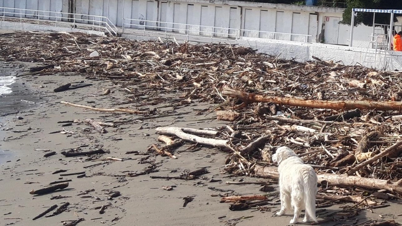 La mareggiata invernale ha lasciato il segno sulle spiagge del litorale e sulle scogliere di Fiumaretta e Bocca di Magra (foto d’archivio)