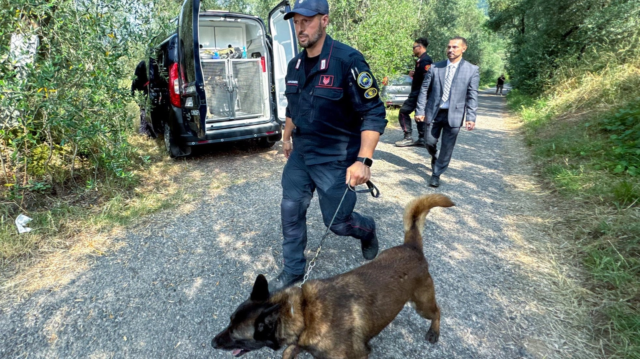 I carabinieri e i colleghi del Sis al lavoro per molte ore nella casa di Vasile Frumuzache. Tre buche accanto ai giochi dei bimbi e alla casa, su indicazione dei cani. Poi le analisi. I carabinieri e i colleghi del Sis al lavoro per molte ore nella casa di Vasile Frumuzache. Tre buche accanto ai giochi dei bimbi e alla casa, su indicazione dei cani. Poi le analisi.