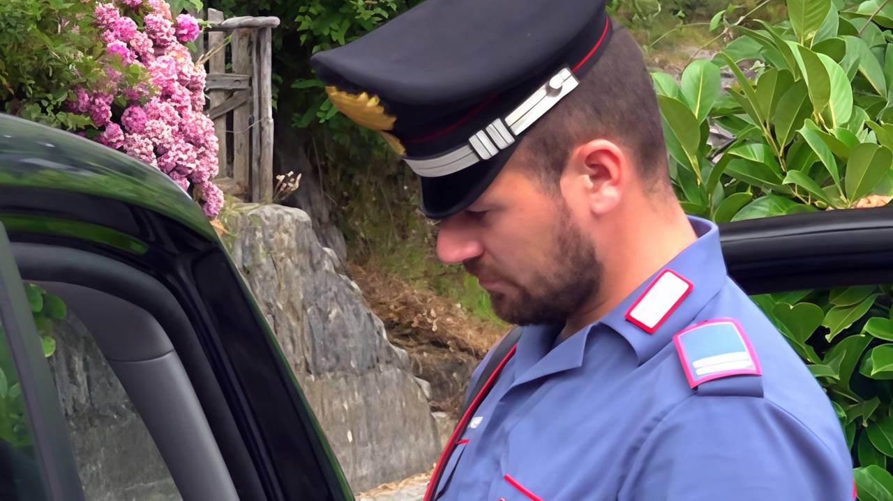 La ragazzina è stata ritrovata a notte fonda dai carabinieri, dopo ore di ricerche (Foto di repertorio) La ragazzina è stata ritrovata a notte fonda dai carabinieri, dopo ore di ricerche (Foto di repertorio)