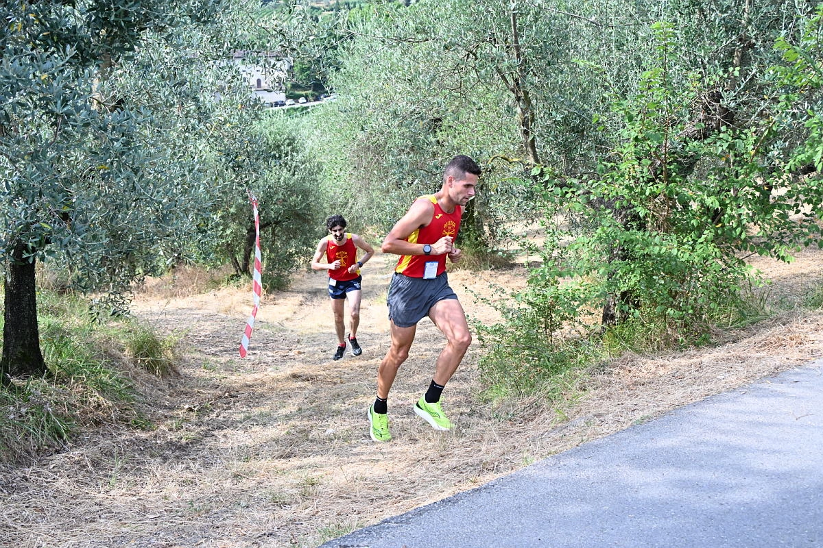 immagine di sfondo 36