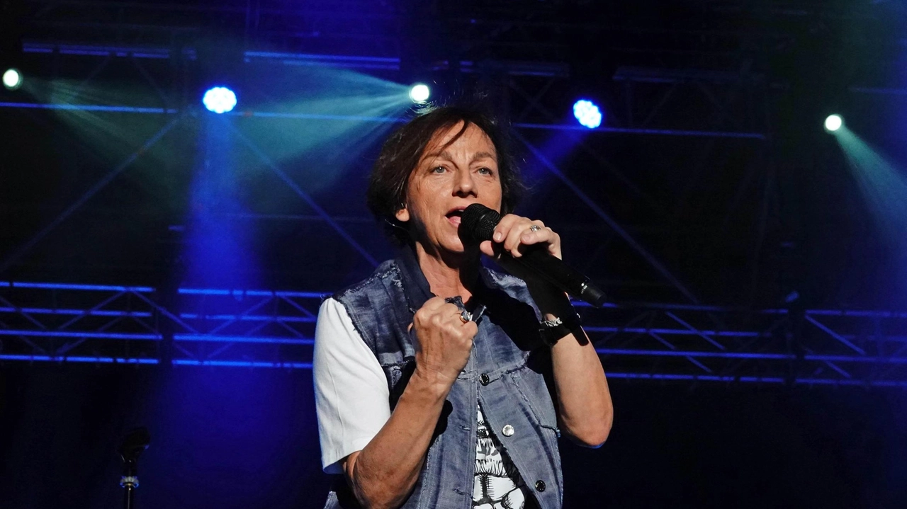 Gianna Nannini sul palco del Pistoia Blues nel 2018 (Acerboni/fotoCastellani) Gianna Nannini sul palco del Pistoia Blues nel 2018 (Acerboni/fotoCastellani)