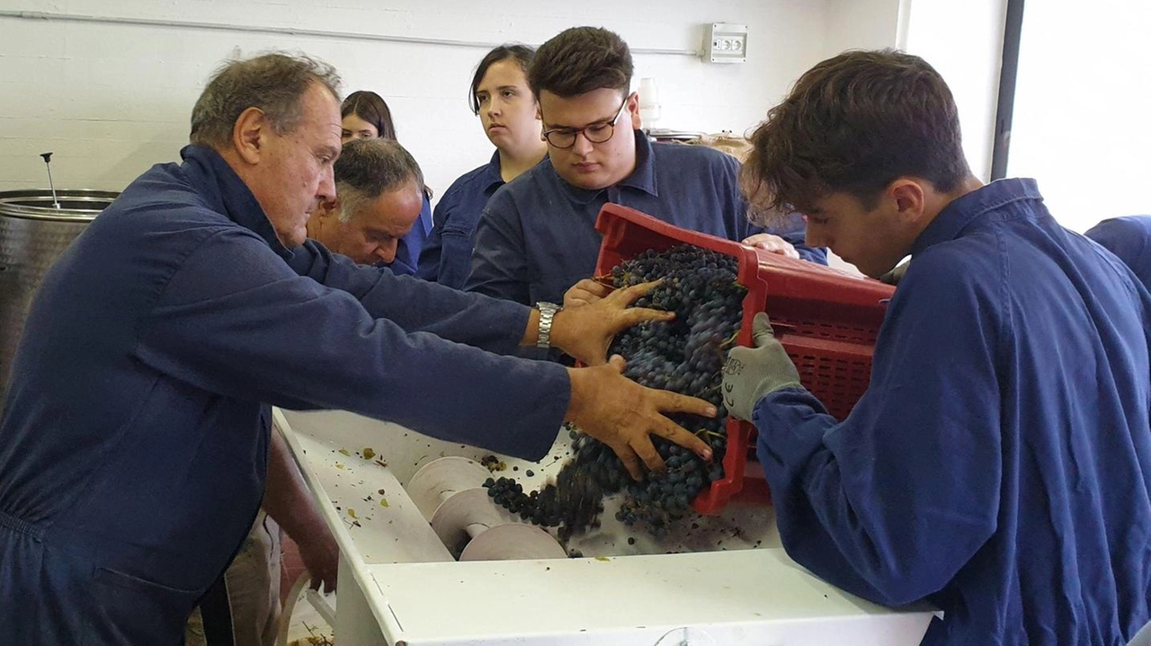 L'istituto agrario di Sarzana offre sbocchi occupazionali immediati grazie a stage e produzione di miele e vino. L'istituto agrario di Sarzana offre sbocchi occupazionali immediati grazie a stage e produzione di miele e vino.