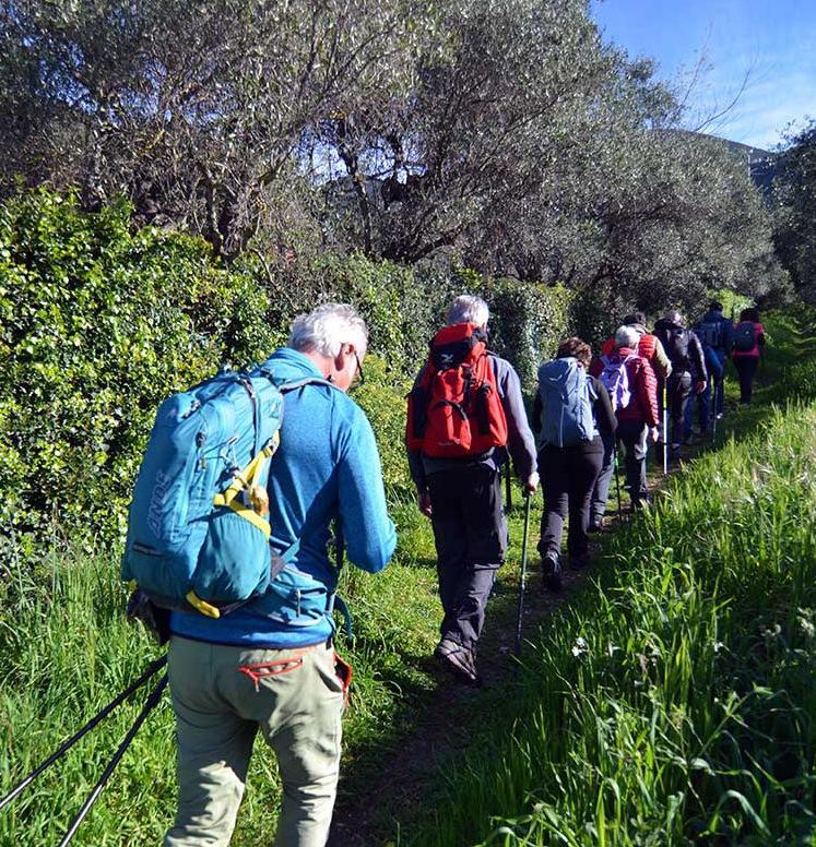 Tra la piana e le colline. Quattro percorsi lenti