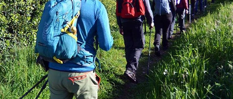 Tra la piana e le colline. Quattro percorsi lenti
