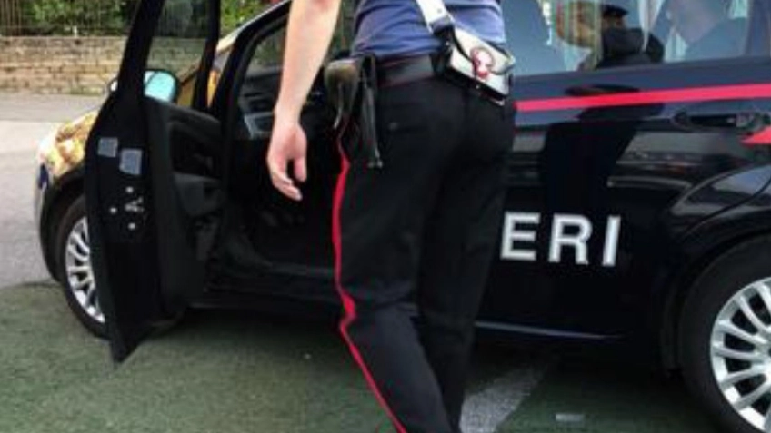 Carabinieri (immagine di repertorio Ansa) Carabinieri (immagine di repertorio Ansa)