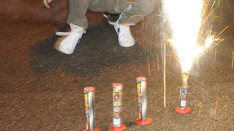 Stop ai botti e ai fuochi d’artificio di Capodanno per tutelare gli animali Stop ai botti e ai fuochi d’artificio di Capodanno per tutelare gli animali