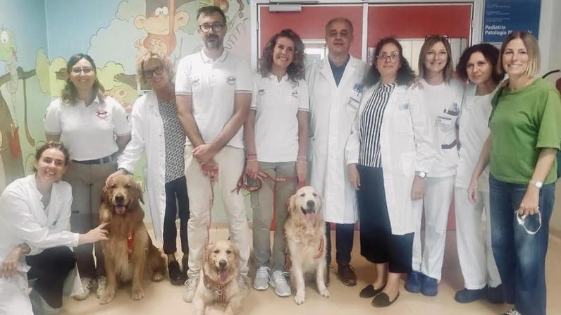 Sorrisi in corsia... a quattro zampe. Pet therapy con i cani bagnino. Bambini più sereni in pediatria