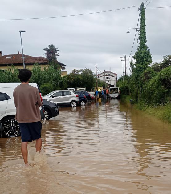 https://www.lanazione.it/image-service/view/acePublic/alias/contentid/OWU0Mzc1NGUtYmE5NC00/0/la-pioggia-ora-lerrore-e-umano.jpeg?f=1.90:1&h=630