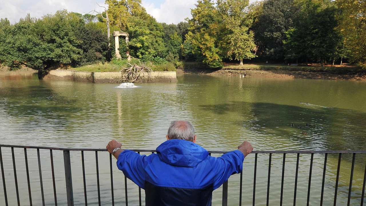 Il lago al Villone Puccini (Luca Castellani/FotoCastellani) - foto di repertorio Il lago al Villone Puccini (Luca Castellani/FotoCastellani) - foto di repertorio