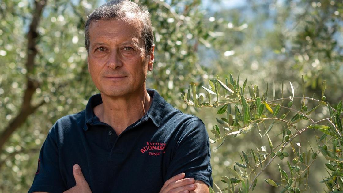 https://www.lanazione.it/image-service/view/acePublic/alias/contentid/OWU2ZTRkMjgtNWQwNi00/0/produttori-di-olio-sospesi-ce-incertezza-ordini-fermi-e-aumenteranno-i-falsi.jpeg?f=16:9&w=1200&h=630