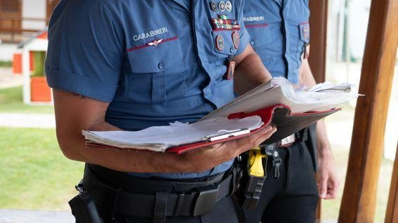 Serie di interventi compiuti dai carabinieri della stazione di Viareggio Serie di interventi compiuti dai carabinieri della stazione di Viareggio