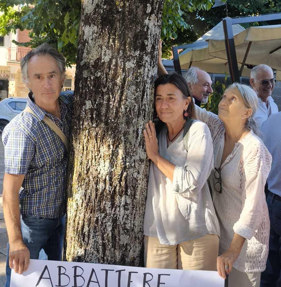 Enel sugli alberi tagliati: "Non è una decisione di nostra competenza"