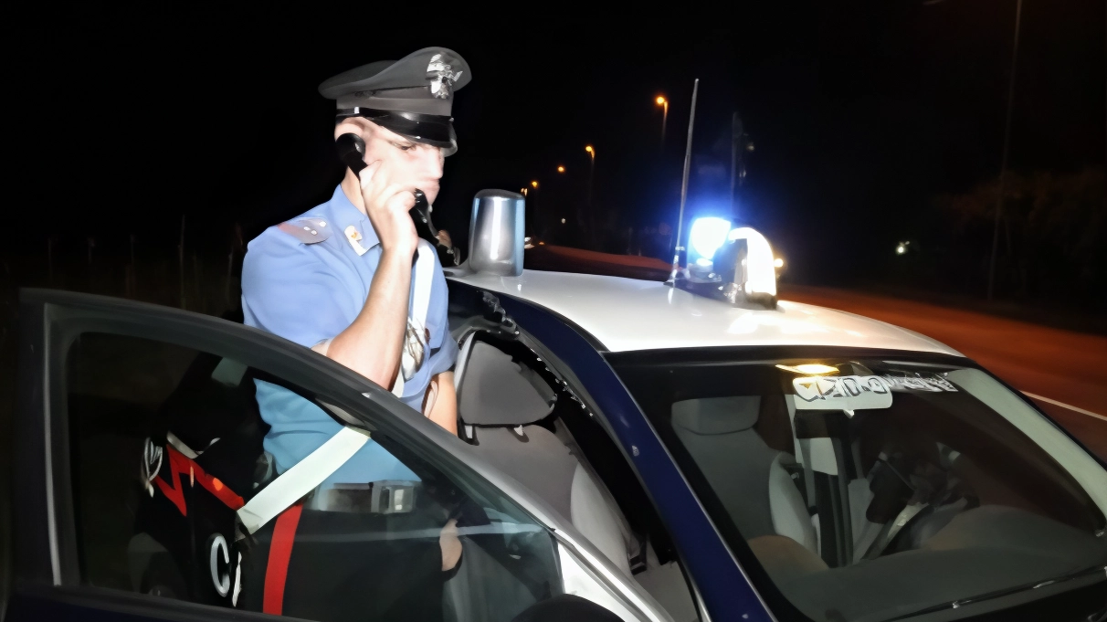 I carabinieri hanno individuato i due giovani accusati di furto aggravato. Uno ha tentato la fuga, nascondendosi tra le auto ma è stato rintracciato. Ora sono entrambi agli arresti domiciliari I carabinieri hanno individuato i due giovani accusati di furto aggravato. Uno ha tentato la fuga, nascondendosi tra le auto ma è stato rintracciato. Ora sono entrambi agli arresti domiciliari