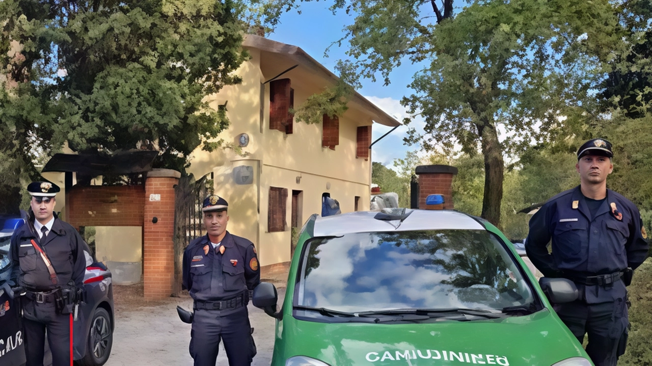 Incontri tra Carabinieri e studenti a Castelfranco per diffondere la cultura della legalità e sensibilizzare sull'ambiente. Focus su bullismo, internet e pratiche sostenibili. Incontri tra Carabinieri e studenti a Castelfranco per diffondere la cultura della legalità e sensibilizzare sull'ambiente. Focus su bullismo, internet e pratiche sostenibili.