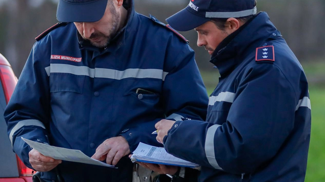 La polizia municipale ha visionato le telecamere di Alia scoprendo l’orrore La polizia municipale ha visionato le telecamere di Alia scoprendo l’orrore