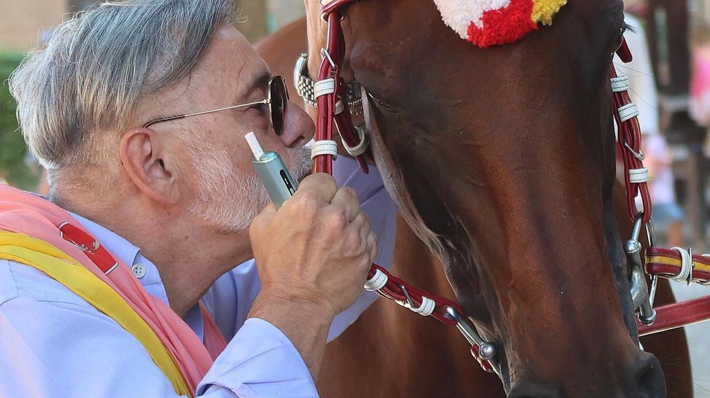 Con il velocissimo tempo non ufficiale di 1’12“70, la corsa di Anda e Bola e Gingillo si colloca al quarto... Con il velocissimo tempo non ufficiale di 1’12“70, la corsa di Anda e Bola e Gingillo si colloca al quarto...