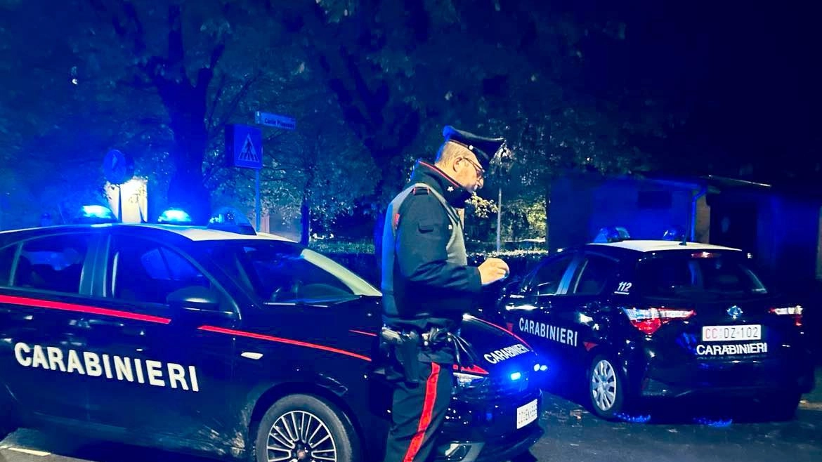 Sul furto sono in corso indagini da parte dei carabinieri (foto di repertorio) Sul furto sono in corso indagini da parte dei carabinieri (foto di repertorio)