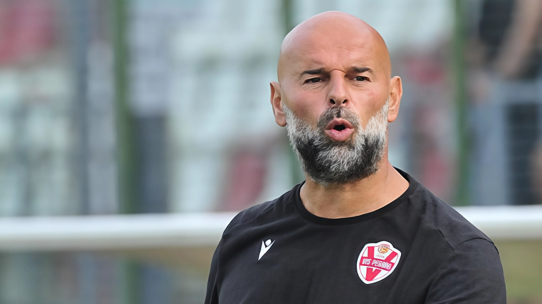 L'Arezzo si prepara all'esordio ufficiale con Stellone in panchina. Dopo la salvezza ottenuta ai playout, la squadra si presenta rinnovata per la sfida a Pesaro. Formazione e prossimi impegni in vista. L'Arezzo si prepara all'esordio ufficiale con Stellone in panchina. Dopo la salvezza ottenuta ai playout, la squadra si presenta rinnovata per la sfida a Pesaro. Formazione e prossimi impegni in vista.