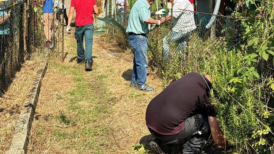 Nuovo bando a Monsummano per l’assegnazione degli orti urbani. Si tratta di 38 lotti a disposizione gratuitamente di coloro che... Nuovo bando a Monsummano per l’assegnazione degli orti urbani. Si tratta di 38 lotti a disposizione gratuitamente di coloro che...
