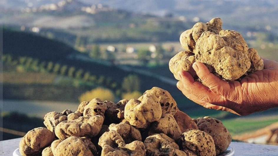 Forcoli, torna la mostra mercato dedicata al tartufo