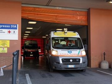 immagine articolo