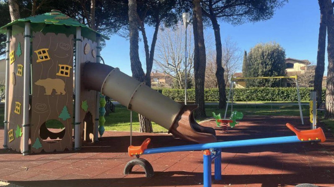 Divertimento e non solo