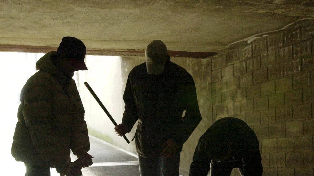 Andrea Roberto Castellani, psicoterapeuta sistemico relazionale A fianco la violenza di una baby gang Andrea Roberto Castellani, psicoterapeuta sistemico relazionale A fianco la violenza di una baby gang