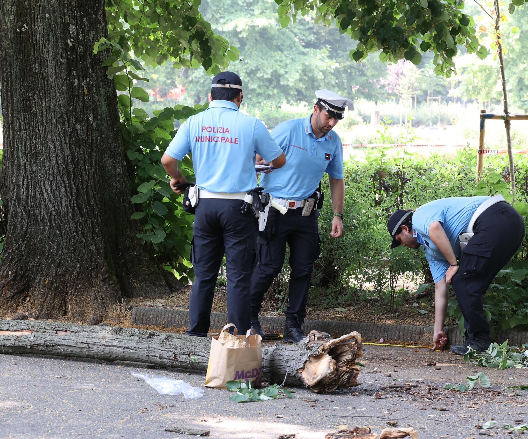 Paura prima del concerto. Grosso ramo cade sulla folla. Grave una giovane alle Cascine Paura prima del concerto. Grosso ramo cade sulla folla. Grave una giovane alle Cascine