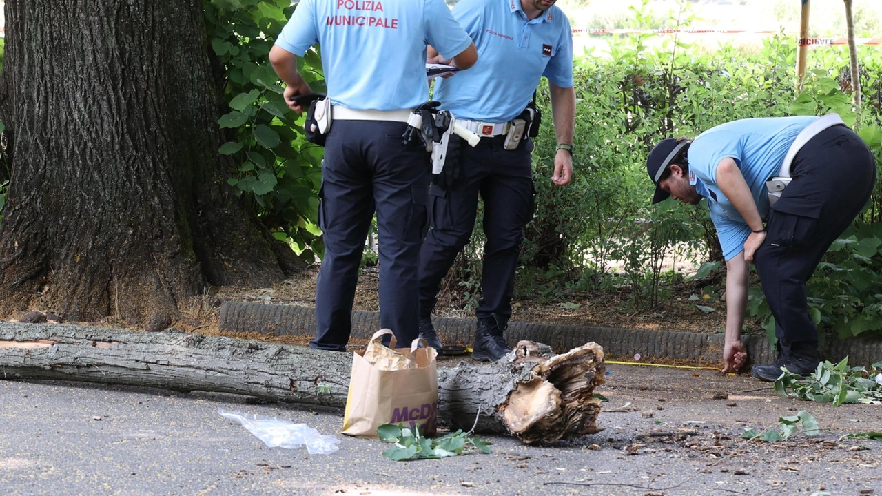 La 24enne era in fila sul viale della Tinaia per entrare alla Visarno Arena quando è stata travolta. Trasportata d’urgenza a Careggi, non è in pericolo di vita. Verifiche del Comune sugli altri alberi. La 24enne era in fila sul viale della Tinaia per entrare alla Visarno Arena quando è stata travolta. Trasportata d’urgenza a Careggi, non è in pericolo di vita. Verifiche del Comune sugli altri alberi.