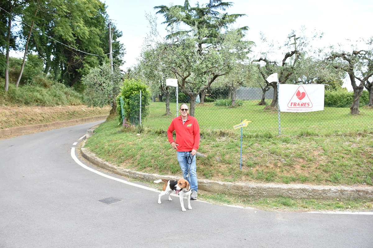 immagine di sfondo 26