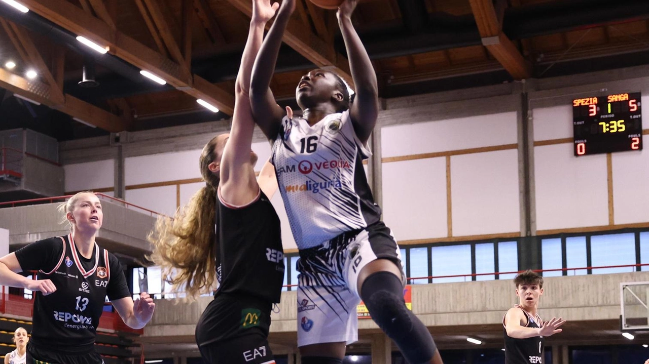 Nella prossima stagione la Cestistica non disputerà la serie A2 femminile Nella prossima stagione la Cestistica non disputerà la serie A2 femminile