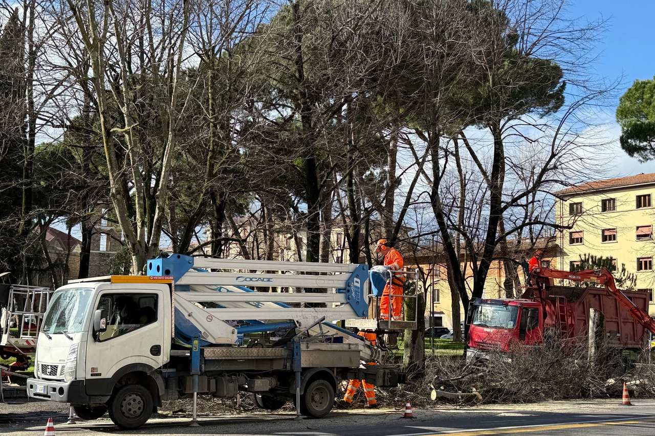 immagine di sfondo 2