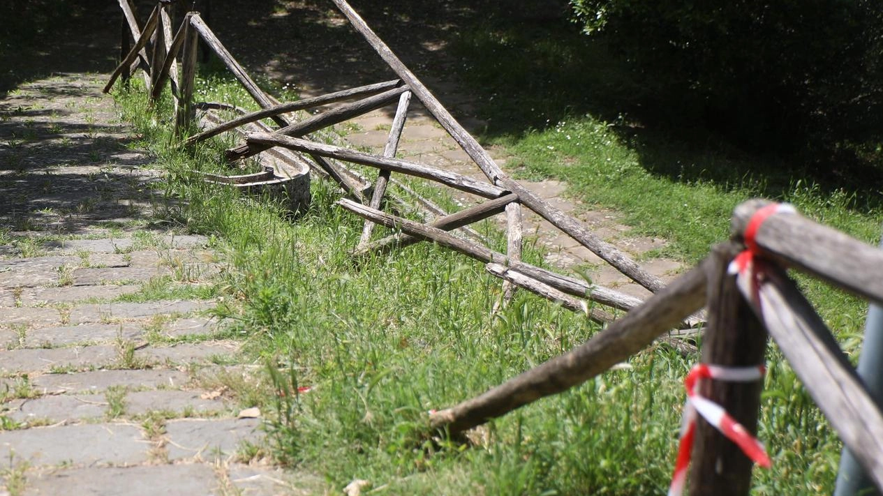 Un tratto della staccionata divelta accanto al palazzetto del Coni: una cittadina denuncia il pessimo stato dell’area Un tratto della staccionata divelta accanto al palazzetto del Coni: una cittadina denuncia il pessimo stato dell’area