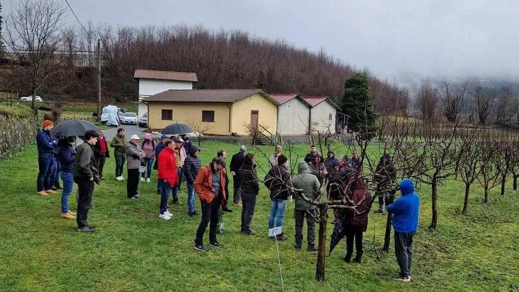 E’ in programma domani al Centro di valorizzazione della biodiversità vegetale il corso di potatura e innesto E’ in programma domani al Centro di valorizzazione della biodiversità vegetale il corso di potatura e innesto