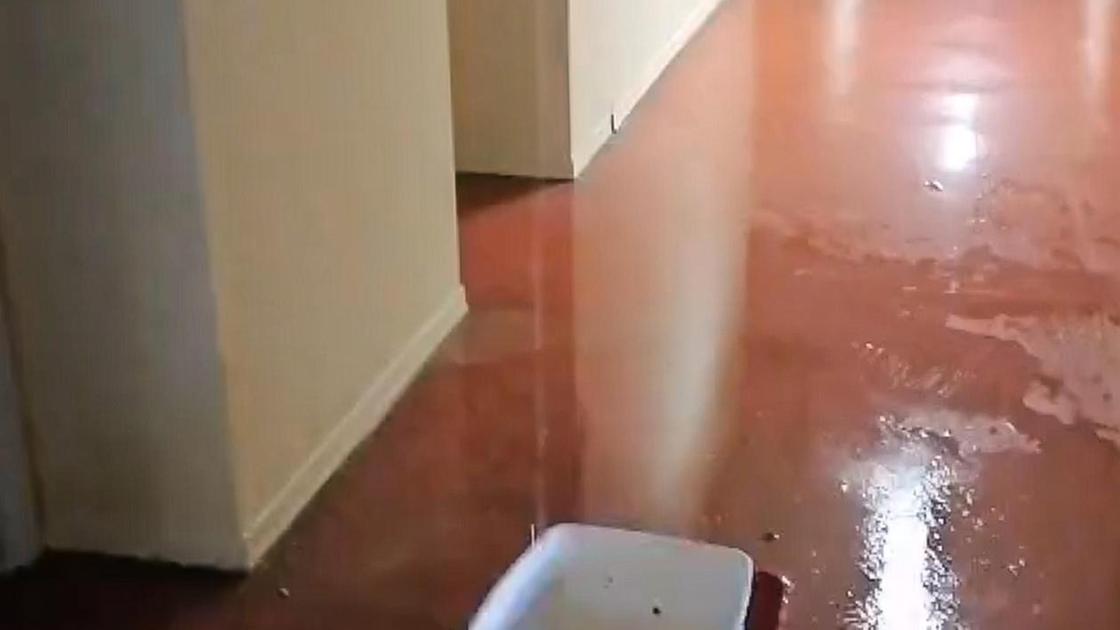 Lo studentato Fermi cade a pezzi. Stanze allagate e calcinacci. Trenta ragazzi costretti a spostarsi Lo studentato Fermi cade a pezzi. Stanze allagate e calcinacci. Trenta ragazzi costretti a spostarsi