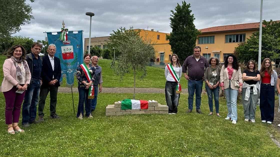 Giusto tra le Nazioni. Un olivo per Angela Giusto tra le Nazioni. Un olivo per Angela