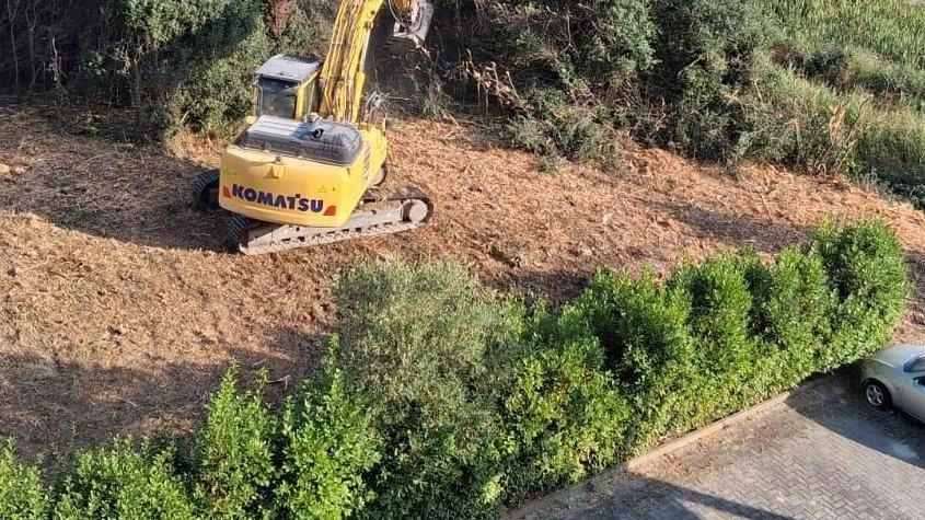 Taglio di alberi a colpi di cingolati:. scatta l’esposto ai carabinieri forestali Taglio di alberi a colpi di cingolati:. scatta l’esposto ai carabinieri forestali