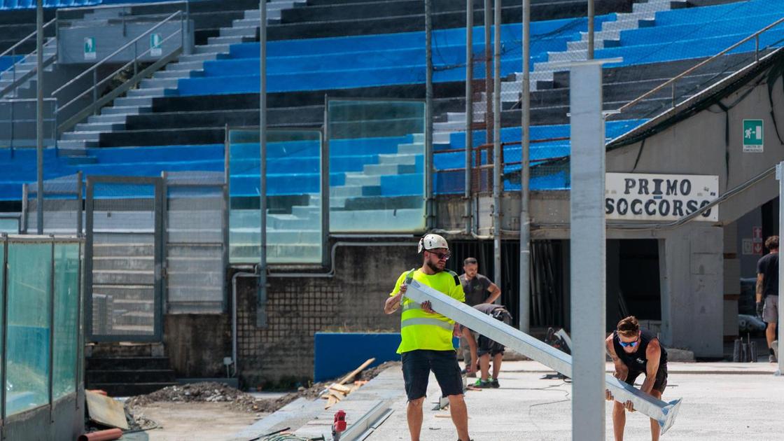 Le reazioni: "Ha gettato la spugna" Le reazioni: "Ha gettato la spugna"