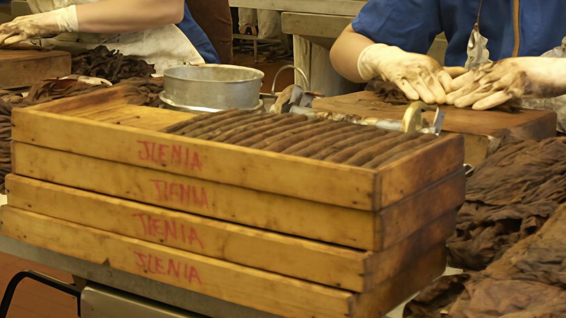 Manifatture Sigaro. Accordo da 250 milioni in dieci anni con il Ministero Manifatture Sigaro. Accordo da 250 milioni in dieci anni con il Ministero