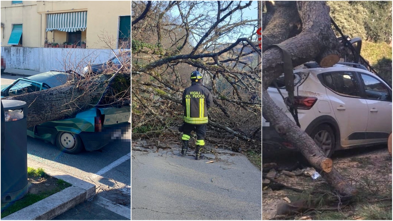 Danni ingenti in Toscana a causa delle forti raffiche di vento