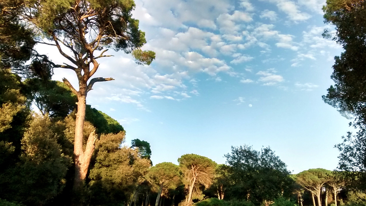 Immagine di repertorio Immagine di repertorio