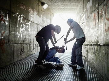immagine articolo