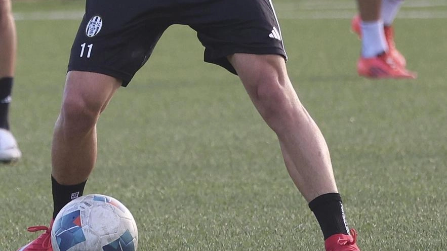 Servirà ancora qualche giorno di attesa per conoscere la composizione dei gironi della Serie D 2025/2026: i nuovi raggruppamenti dovrebbero...