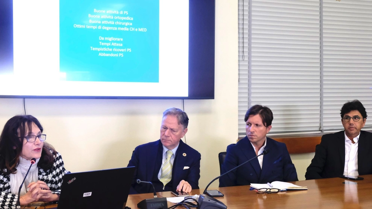 La conferenza in sala di rappresentanza del Comune di Aulla (. foto Pasquali La conferenza in sala di rappresentanza del Comune di Aulla (. foto Pasquali
