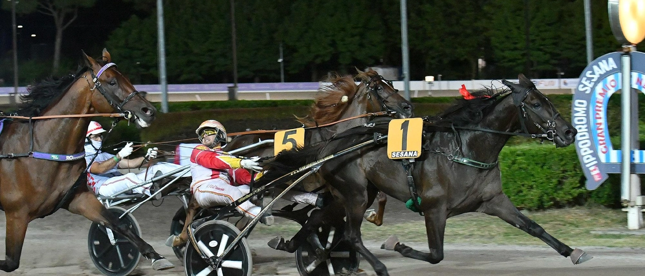 Il Gp Nello Bellei a Fortunadrago Font. Beffato Carpendale a 50 metri dal palo