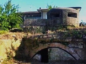 immagine articolo