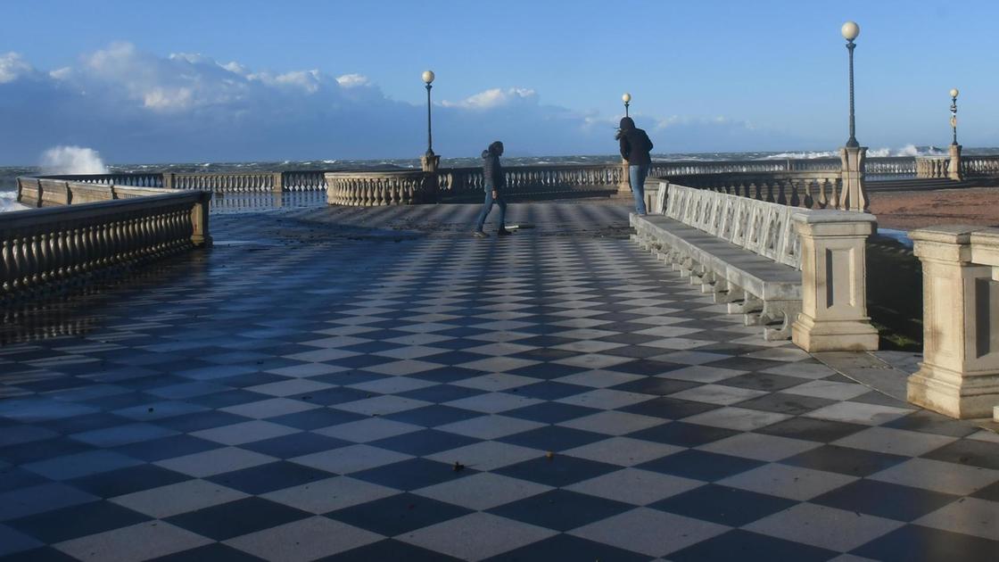 https://www.lanazione.it/image-service/view/acePublic/alias/contentid/Y2MxMDJiZGItNjMwMi00/0/livorno-citta-dal-fascino-autentico.jpeg?f=16:9&w=1200&h=630