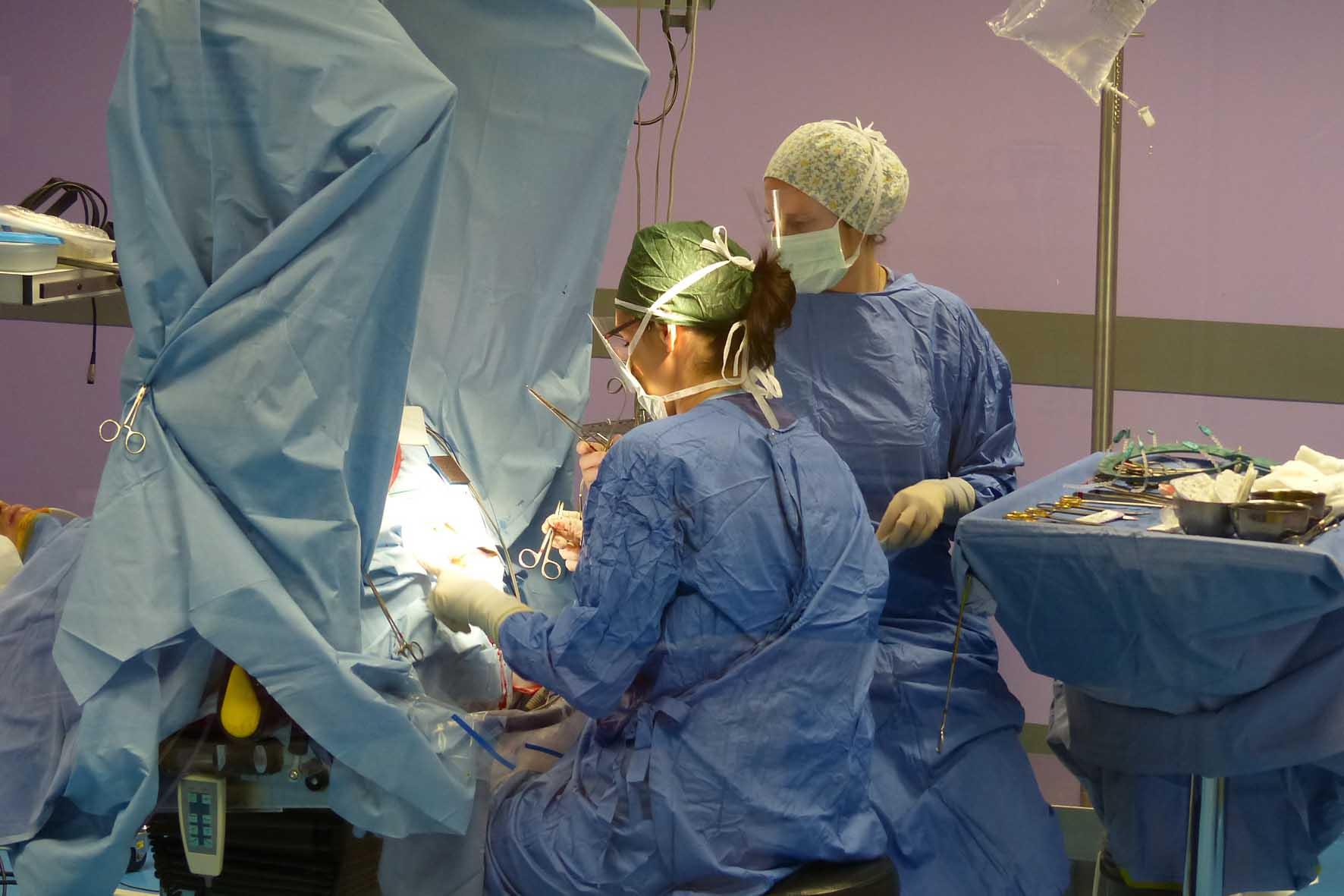 Complicazioni all’occhio dopo un trauma. L’Asl ora gli paga i danni Complicazioni all’occhio dopo un trauma. L’Asl ora gli paga i danni